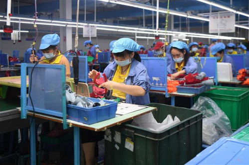 玩具到电子产品 一条通往脱贫致富的创新之路